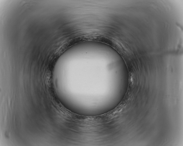 X0000096160867200801180849