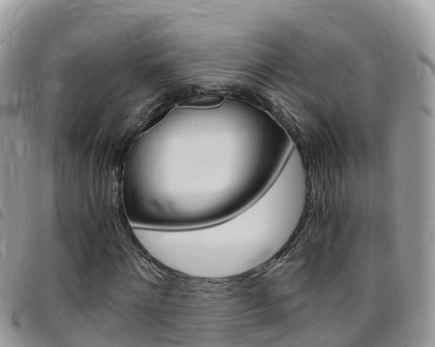 X0000096160868200801180849