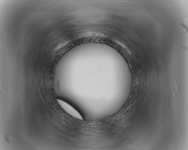 X0000096160869200801180849