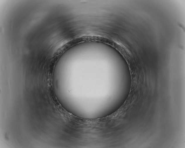 X0000096160870200801180849