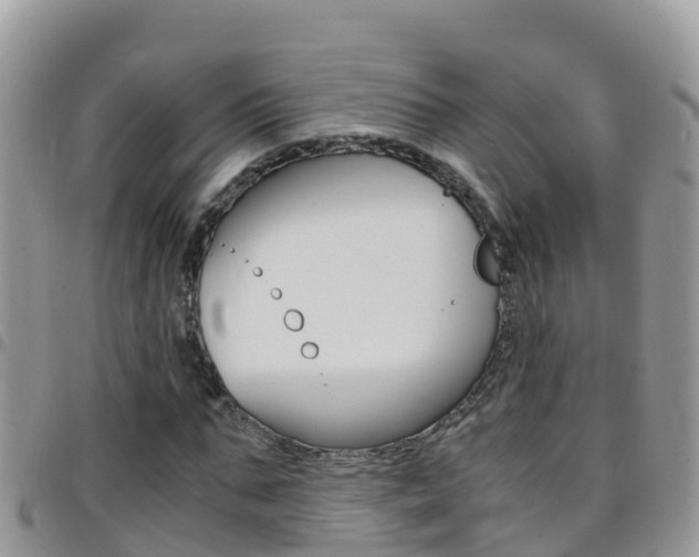 X0000096160871200801180849