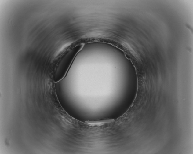 X0000096160872200801180849