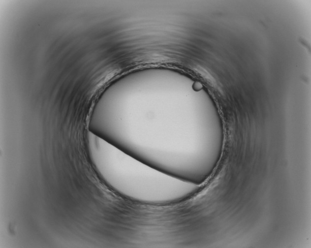 X0000096160873200801180849