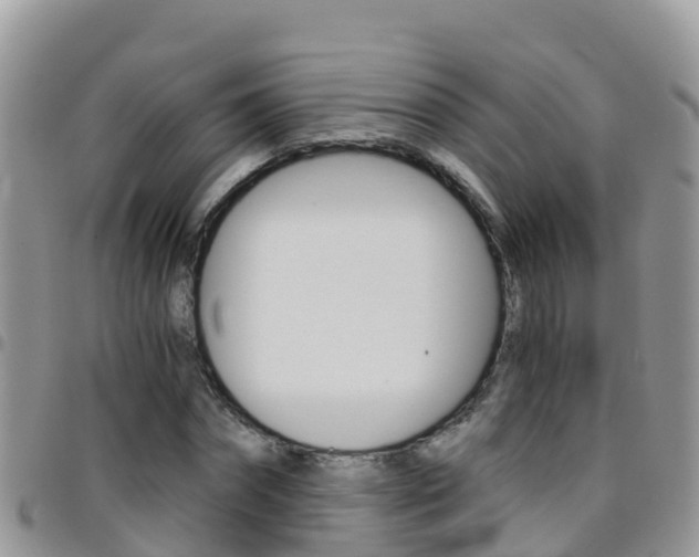 X0000096160874200801180849