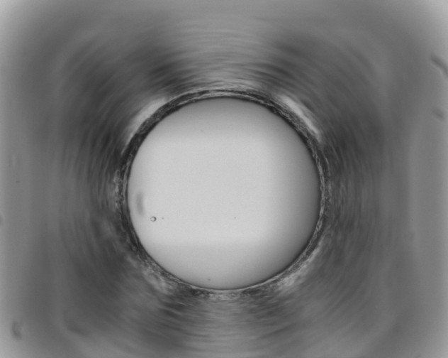 X0000096160875200801180849