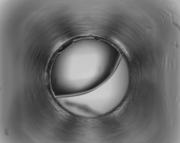 X0000096160876200801180849