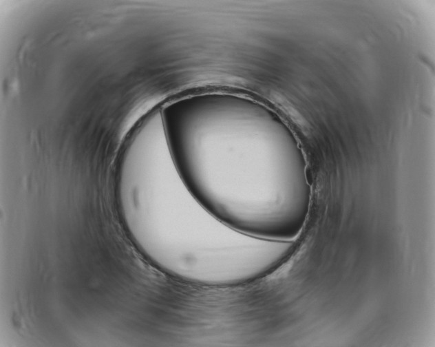 X0000096160877200801180849