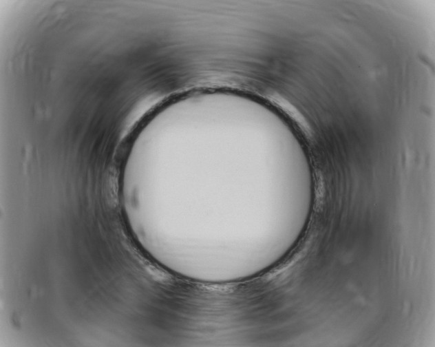 X0000096160878200801180849