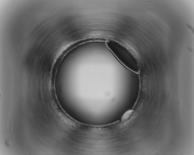 X0000096160880200801180849