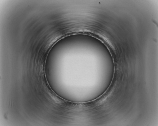 X0000096160881200801180849