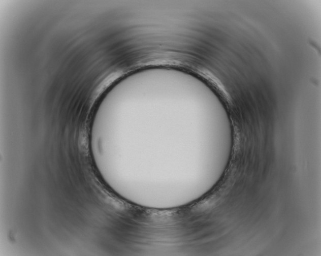 X0000096160882200801180849