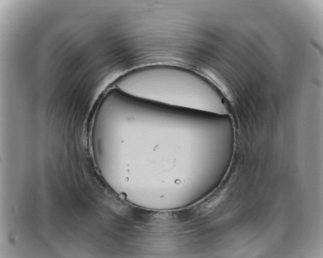 X0000096160883200801180849