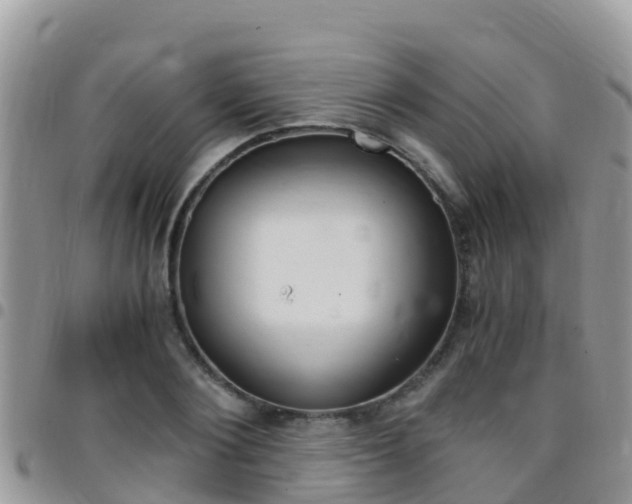 X0000096160884200801180849