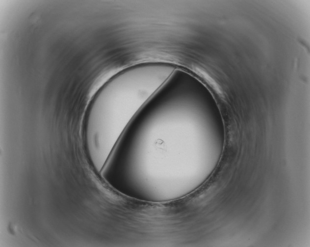 X0000096160885200801180849