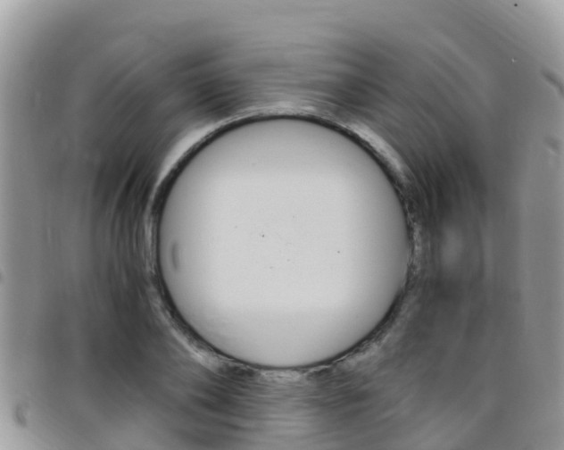 X0000096160886200801180849