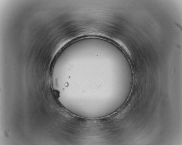 X0000096160887200801180849