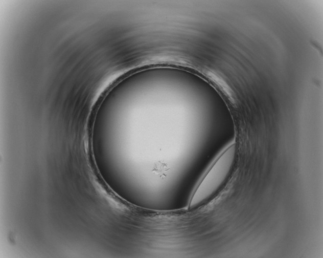 X0000096160888200801180849