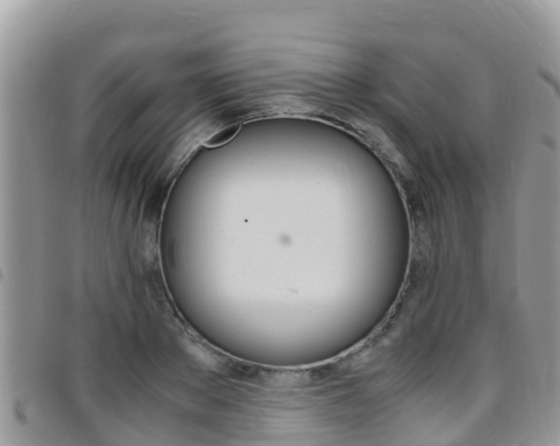 X0000096160889200801180849