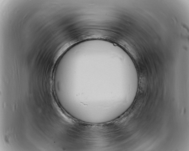 X0000096160890200801180849