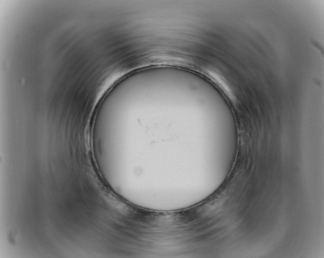 X0000096160891200801180849