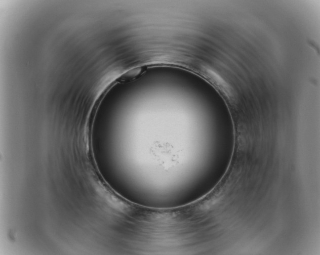 X0000096160892200801180849