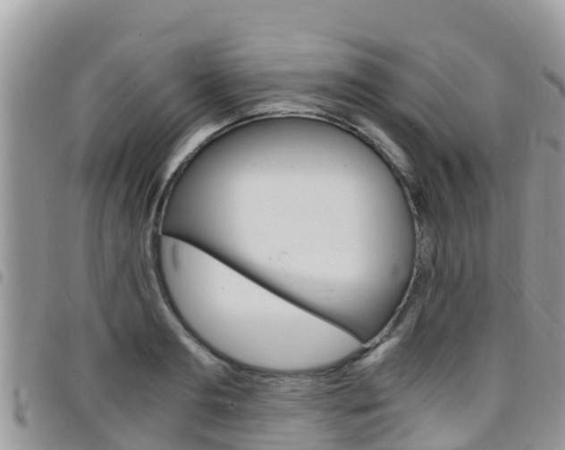 X0000096160893200801180849