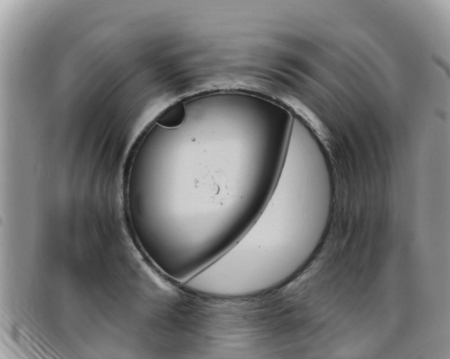 X0000096160894200801180849