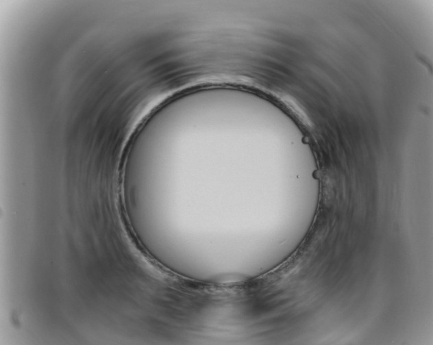 X0000096160895200801180849