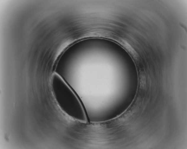 X0000096160896200801180849