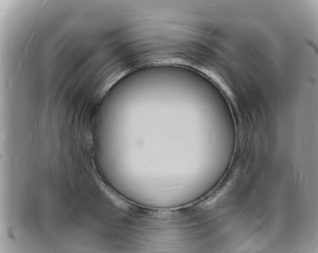 X0000096160897200801180849