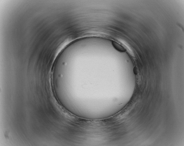 X0000096160899200801180849