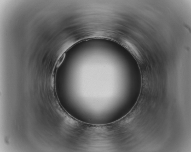 X0000096160900200801180849