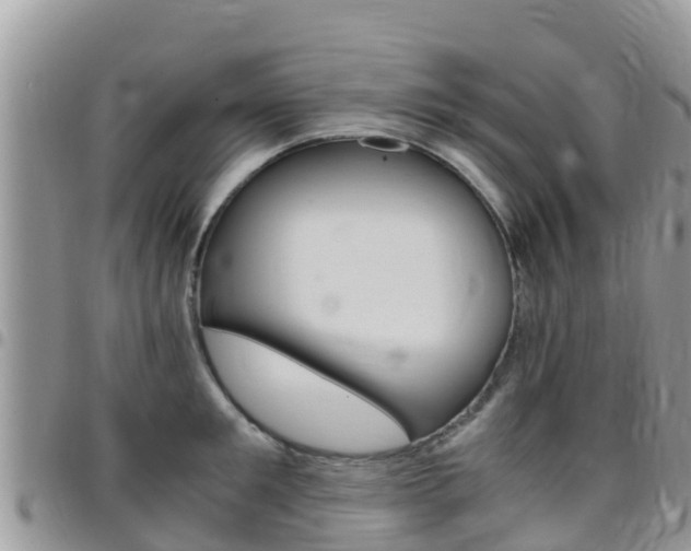 X0000096160901200801180849
