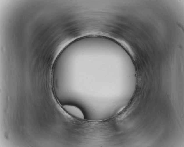 X0000096160903200801180849