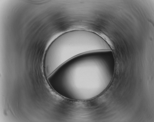 X0000096160904200801180849