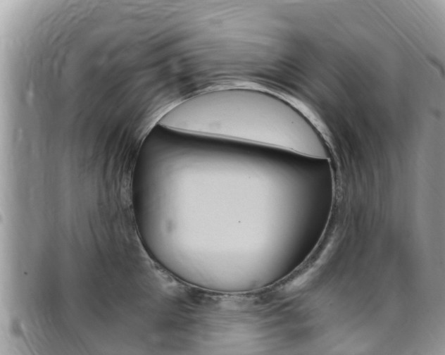 X0000096160905200801180849