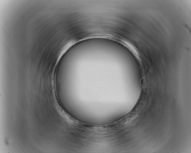 X0000096160907200801180849
