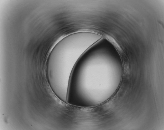 X0000096160908200801180848