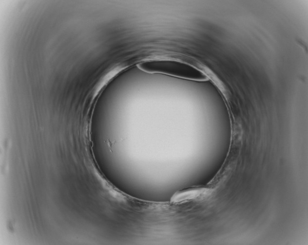 X0000096160909200801180848