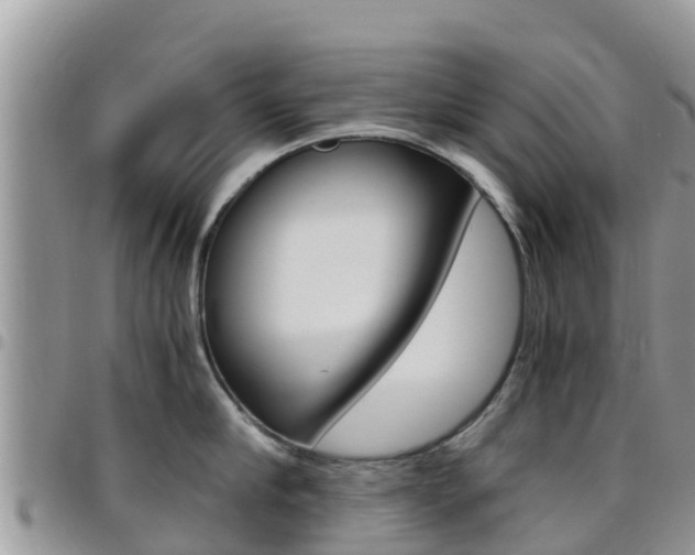 X0000096160910200801180848