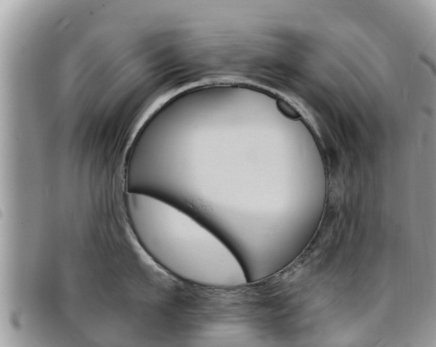 X0000096160911200801180848