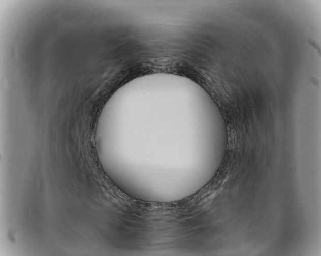 X0000096160913200801180848