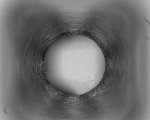 X0000096160914200801180848