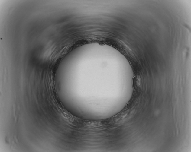 X0000096160915200801180848
