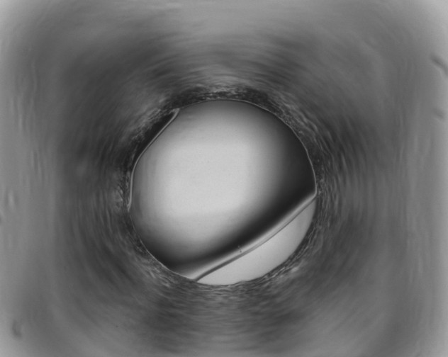 X0000096160916200801180848
