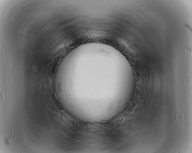X0000096160917200801180848