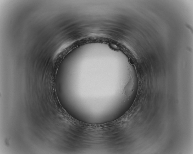 X0000096160919200801180848