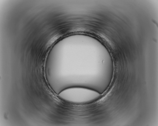 X0000096160921200801180848