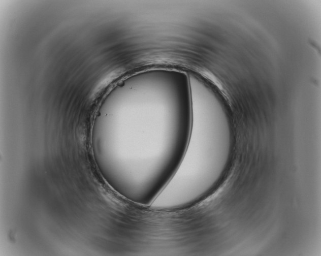 X0000096160922200801180848