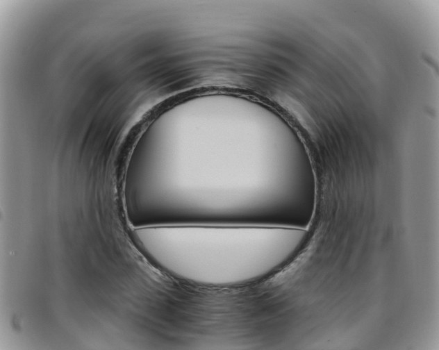 X0000096160923200801180848